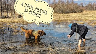 :           .,      