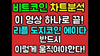 비트 리플 에이다 도지코인 이영상 하나로 끝!