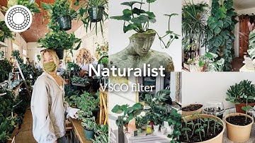 naturalist vsco filter tutorial | nature vsco photo editing fullpack