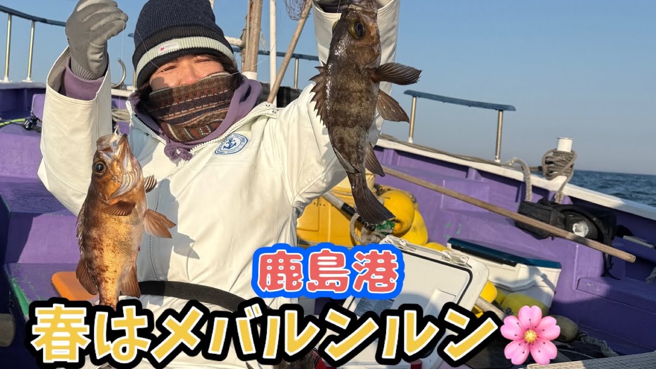 【鹿島港 利喜丸・メバル五目】