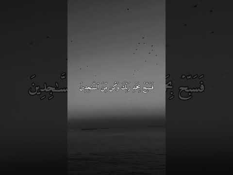 سورة الحجر القرآن الكريم قرآن قران كريم محمد صديق المنشاوي عبدالباسط عبدالصمد 