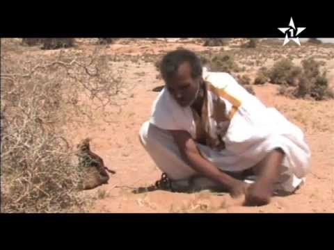  السلسلة اانية عيشة أم النواجر من إخراج عبد القادر أطويف سنة  ناجرة لمكزنة المشعوذة