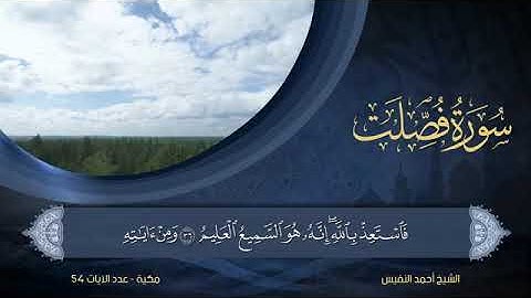 سورة فصلت - أحمد النفيس Surat Fussilat - Ahmed Al-Nafees
