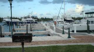 Sea Hunter 2010