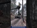 Smart Tree Harvesting Machine Innovation: Forestry Equipment for High-Efficiency Logging