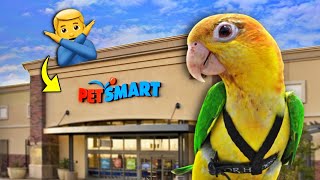 Bird Products to Buy & Avoid at the Pet Store