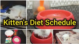 2-3 month old kitten's diet plan || Best foods for kittens || How much should i feed my kitten?