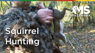 Still Hunting vs Dog Hunting Squirrels at Yockanookany WMA Still Hunting vs Dog Hunting Squirrels at Yockanookany WMA