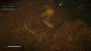 Assassins Creed Valhalla Camera Glitch