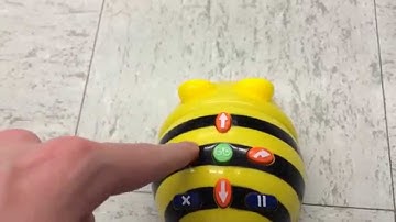 BeeBot Basic Programming