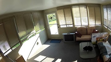 Blade MCPX Inverted Hover