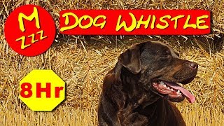Silent Dog Whistle - Случайный свист звучит только собаки могут услышать - Как остановить лай собаки