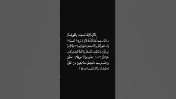 الشيخ احمد حمادي سورة النساء