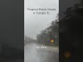 Tropical Storm Nicole in Tampa, FL