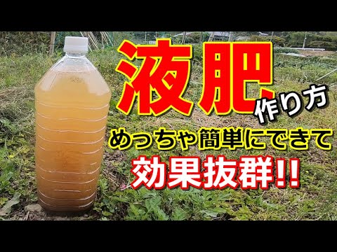 菜園 有機 液体肥料 油カスだけ 液肥の作り方 超簡単 効果抜群 しかも格安 有機液肥で美味しい野菜が良く育つ Youtube