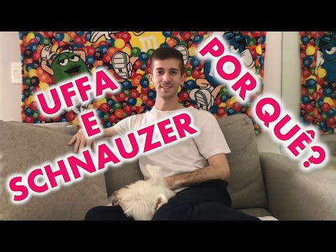 Vídeo: Meu Schnauzer Miniatura Tem Doença do Disco Intervertebral Canino