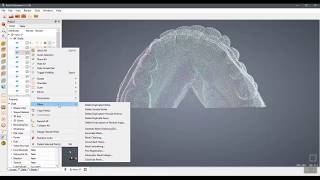 Point Clouds Processing In Real3D Renderer - 2