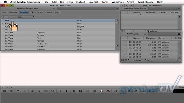 Linking to Media within Avid Media Composer