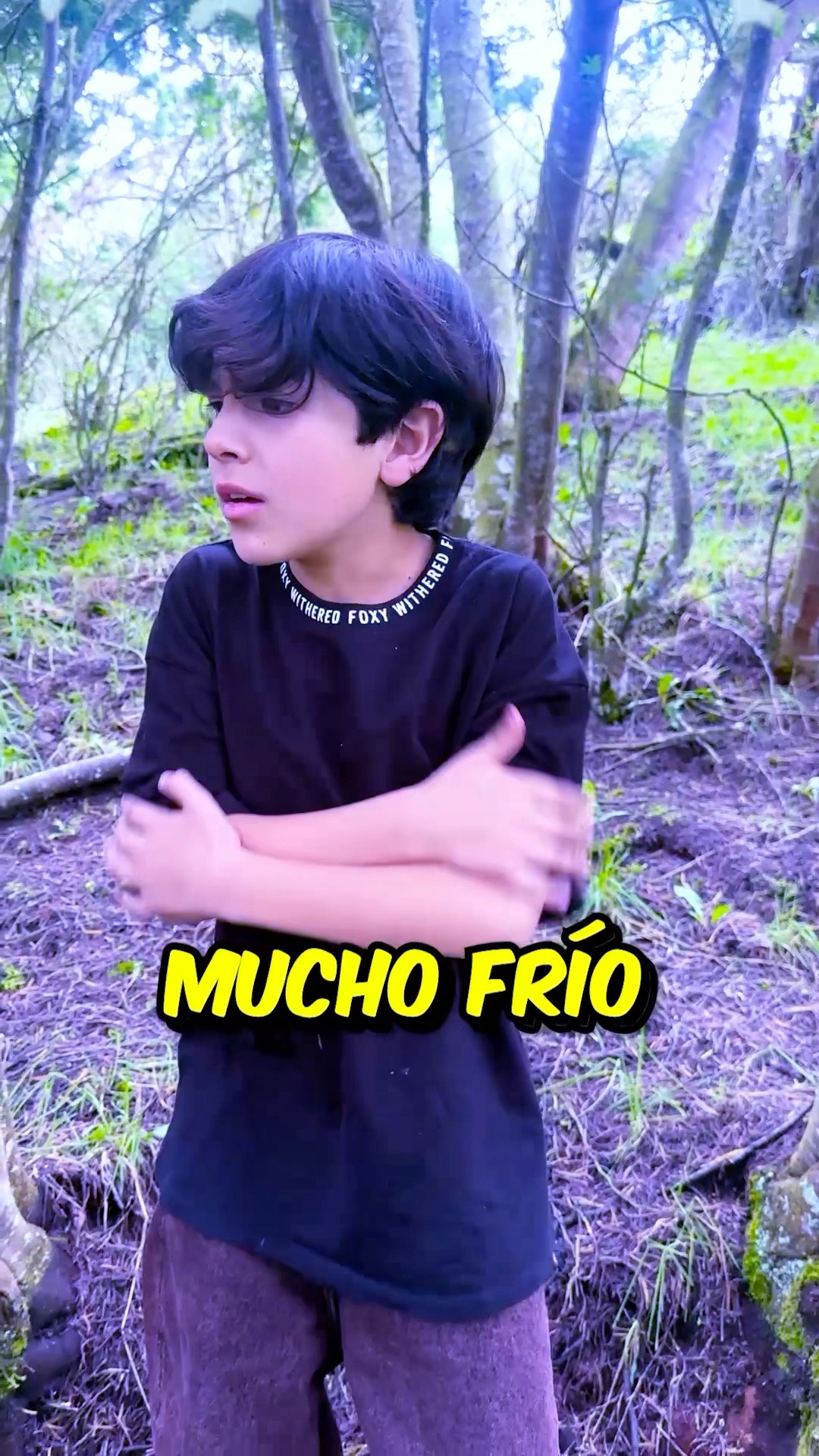 Mi Hermanito Está Perdido