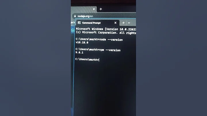 How to Install Node.js and npm on Windows