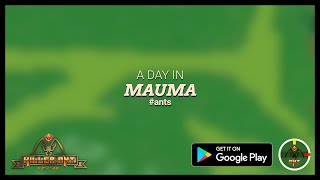 Ant Colony Game | A Day in Mauma| Killer Ant Empire on Android screenshot 5