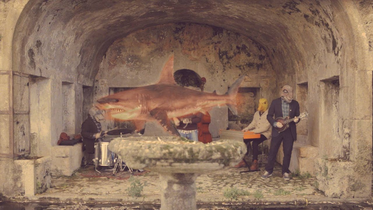 Watch KYLE / Animals (official music video) on YouTube Watch KYLE / Animals (official music video) on YouTube