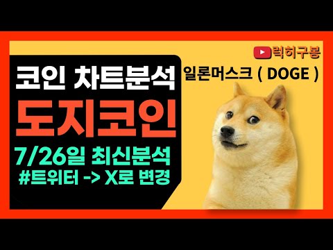 도지코인 일론머스크가 사랑한 코인 트위터 로고 X로 변경 이후 도지코인 결제 관련 소문들에 의한 가격 상승 가능성 도지코인 도지코인트위터 Dogecoin 