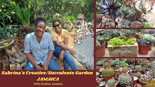 Sabrina's Creative/Succulents Garden || JAMAICA