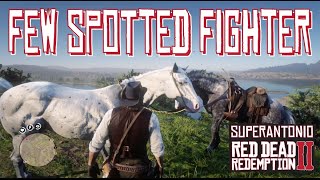 Arthur Field Testing The Few Spotted Appaloosa in Red Dead Redemption 2