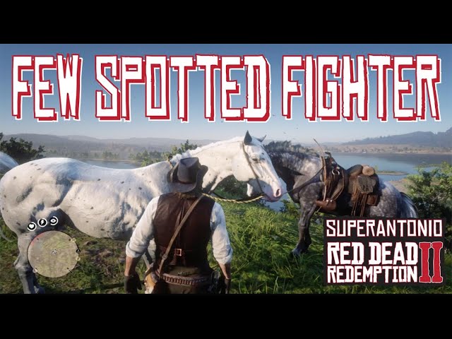 Got the beautiful rare Few Spotted Appaloosa today, Perdita is a good girl.  : r/reddeadredemption