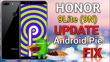 Honor 9Lite (9N) Big Android Pie And Emui 9.1 Issue Fix By Hicare App, Honor 8x