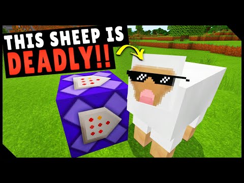 ✔10-cool-1-command-block-creations-for-mcpe!