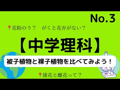 理科 中学 被子植物と裸子植物を比べてみよう No 3 Youtube