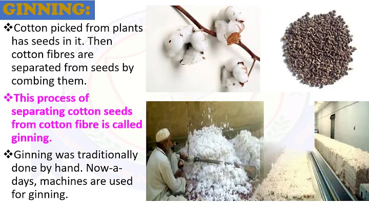 CLASS 6 - SCIENCE FIBER TO FABRIC - DAY 13