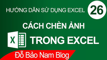 Cách chèn ảnh vào Excel, chèn hình ảnh 3D vào file Excel