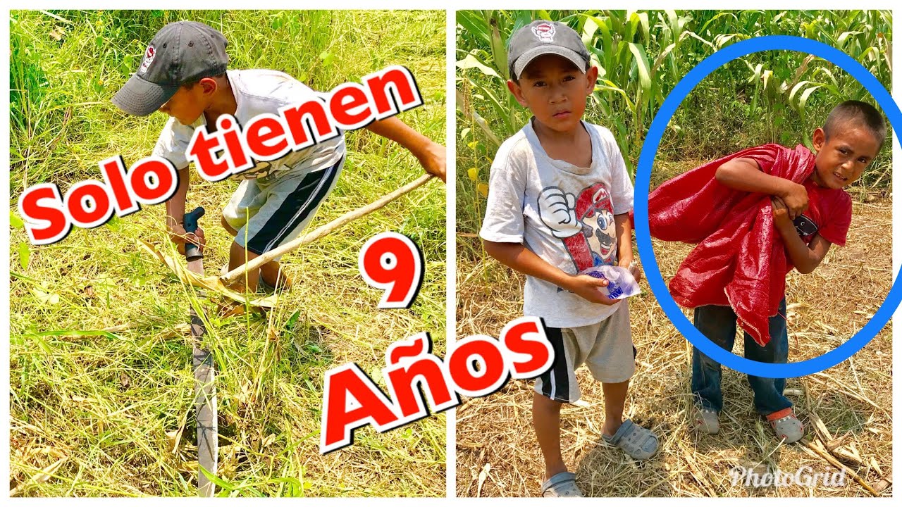 camera iphone 8 plus apk NIÑOS salen a TRABAJAR para AYUDAR a su PADRE