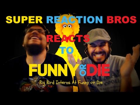 srb-watches-&-reacts-to-big-bird-interns-at-funny-or-die!!!