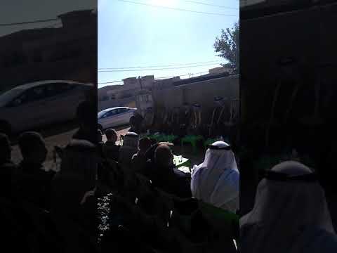 وٽلٽ انعام من عمامنا ربيعه في الدجيل