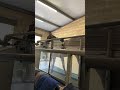 Horse on Treadmill