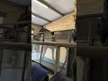 Horse on Treadmill