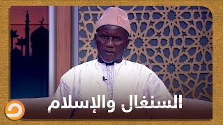 الشيخ مصطفى عمار: الإسلام موجود في السنغال منذ أكثر من 10 قرون