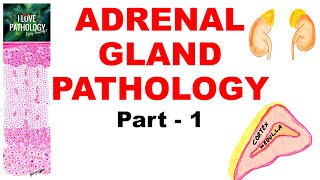 Adrenal Gland Pathology: part -1. Classification of diseases