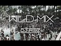 Wild mix