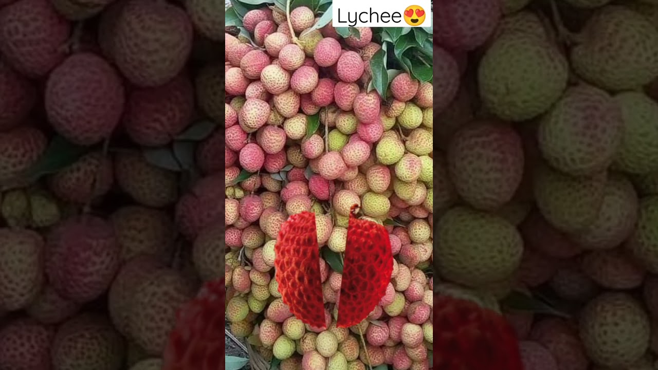 FLEXING LYCHEE MAGIC FRUITS 
