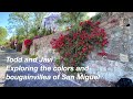 Exploring the colors and bougainvillea of San Miguel de Allende