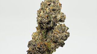 Melon Berry Strain Review : StrainAfterStrain 