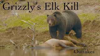 Grizzly 791's Bull Elk Kill Outtakes  | Grizzly 791 | Inspire Wild Media by Inspire Wild Media 1,836 views 3 years ago 59 seconds