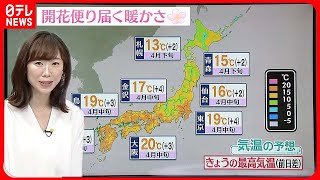 【天気】開花便り届く暖かな日に…夕方以降は西日本中心に雲広がり九州は雨も