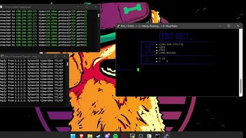 0DA Net dropping ovh come cop!