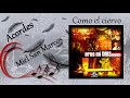 Como El Ciervo Miel San Marcos Acordes mp3